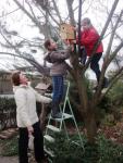 Крымские школьники устанавливают кормушки на деревьях