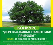 КОНКУРС «ДЕРЕВЬЯ – ЖИВЫЕ ПАМЯТНИКИ ПРИРОДЫ»