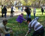 В Детском парке Симферополя школьниками были высажены деревья и кустарники
