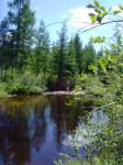 snv33460.jpg